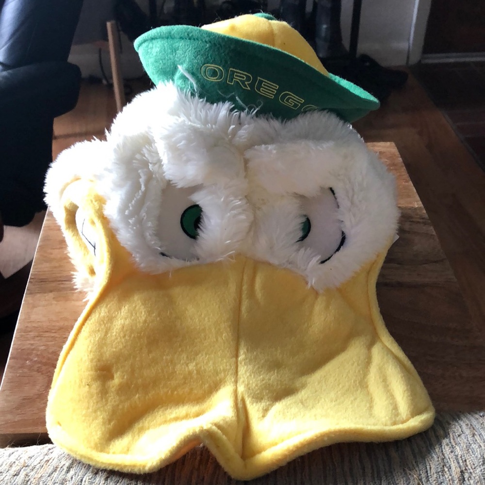 Oregon ducks hat -
